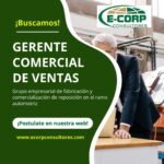 E-corp Consultores Latinoamericana