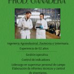 E-corp Consultores Latinoamericana