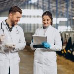 E-corp Consultores Latinoamericana